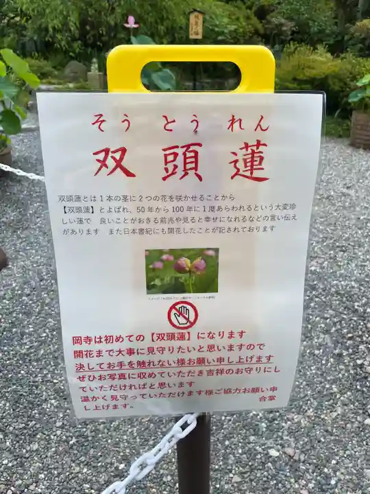 岡寺(龍蓋寺)(奈良県)