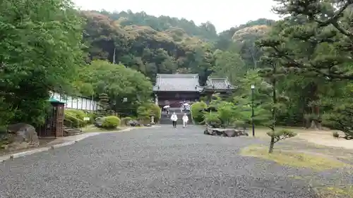 繁多寺(愛媛県)