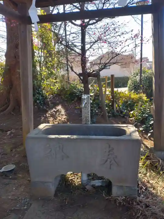 白髭神社(千葉県)