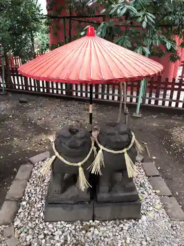 浅草神社の狛犬