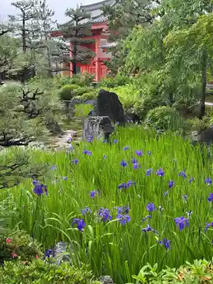 蓮華王院（三十三間堂）(京都府)