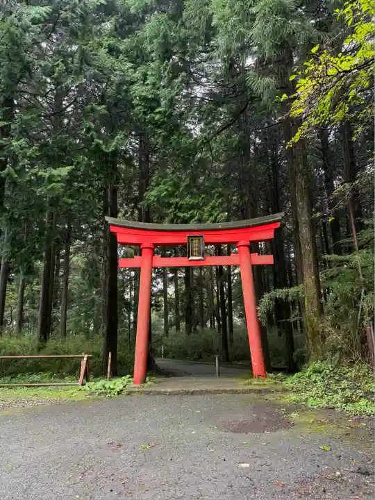 箱根神社(神奈川県)