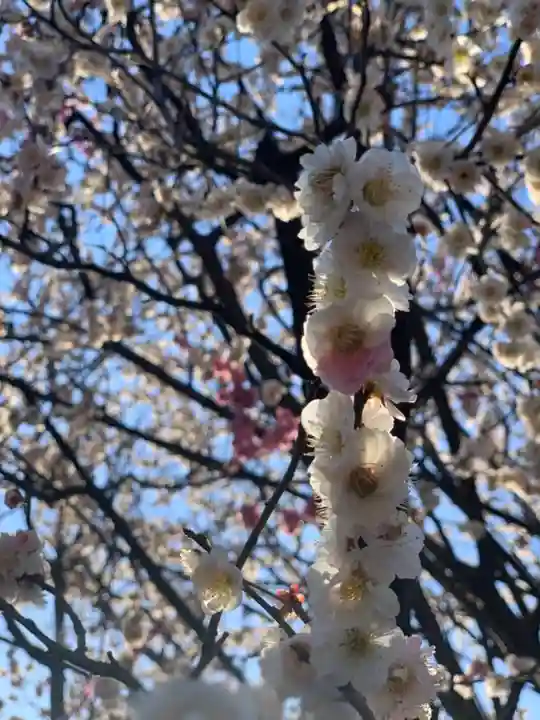 薭田神社の自然