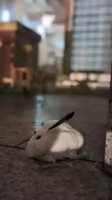 彌彦神社　(伊夜日子神社)の像