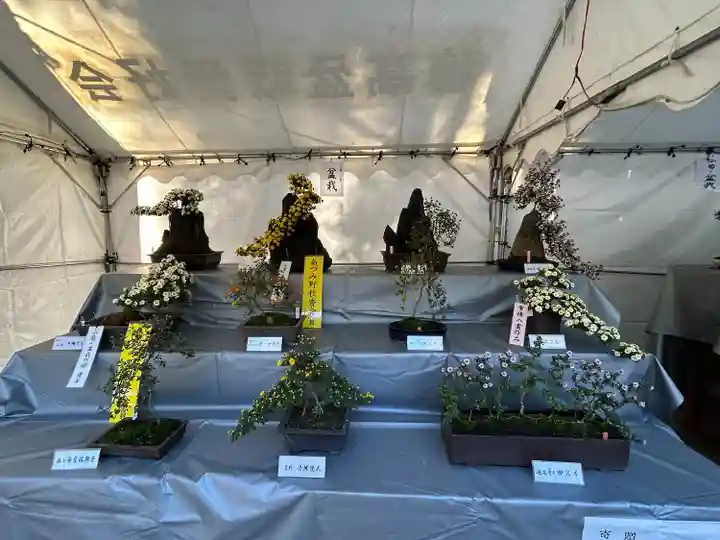 穂高神社本宮(長野県)