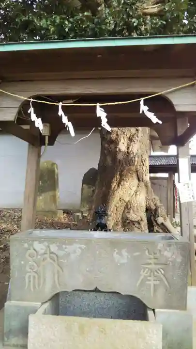 諏訪神社の手水舎