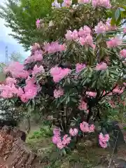 赤城大教会赤城寺の自然