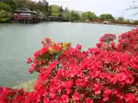 長岡天満宮の周辺