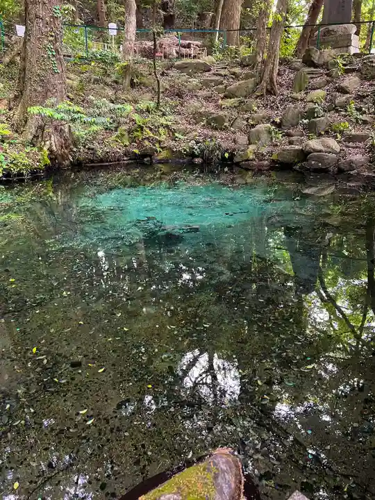 泉神社(茨城県)
