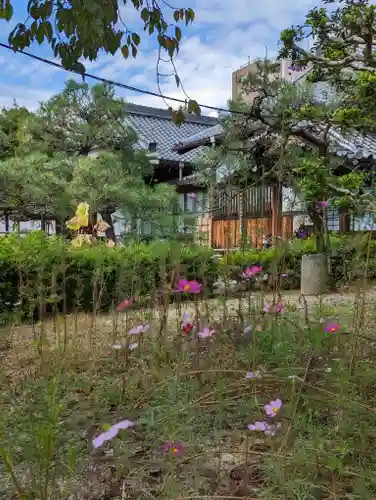 報恩寺(京都府)
