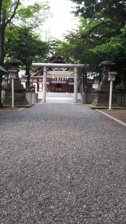 新琴似神社の鳥居