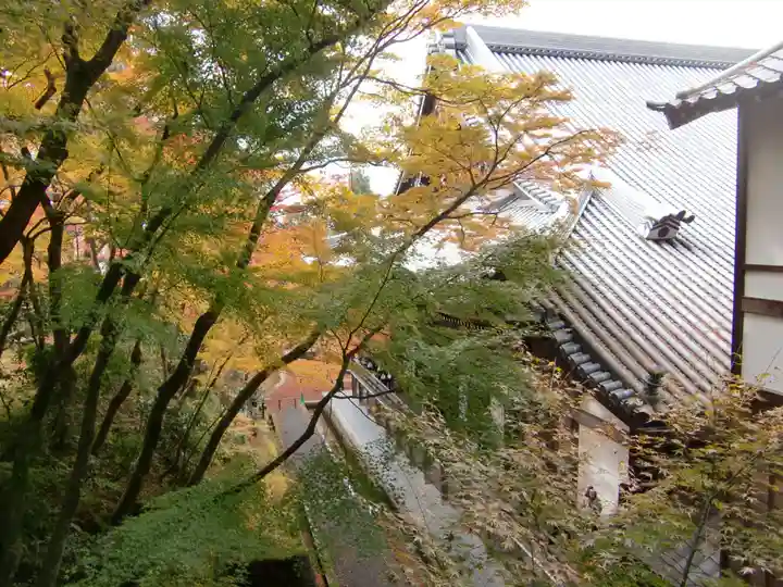禅林寺(永観堂)(京都府)