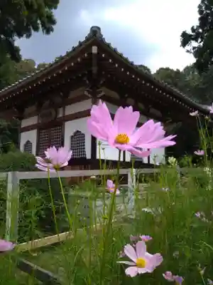 安倍文殊院 (奈良県)