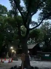 神明社（桜神明社）(愛知県)