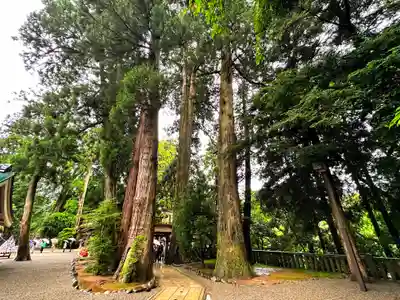 白山比咩神社(石川県)
