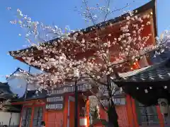 八坂神社(祇園さん)の山門