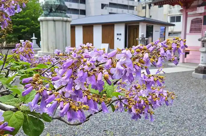 津観音(三重県)