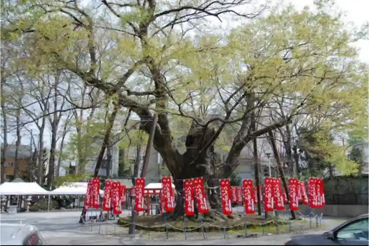 秩父今宮神社の自然