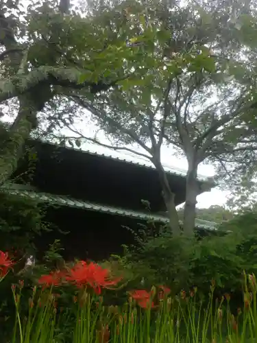 英勝寺のその他建物