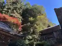 仙龍寺(愛媛県)