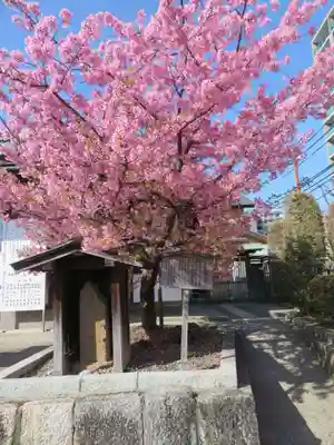 五社神社　諏訪神社(静岡県)