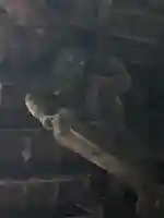 専称寺(山形県)