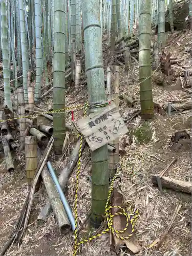 鳴滝奥の院(徳島県)