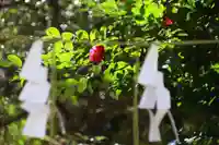 神炊館神社 ⁂奥州須賀川総鎮守⁂の自然