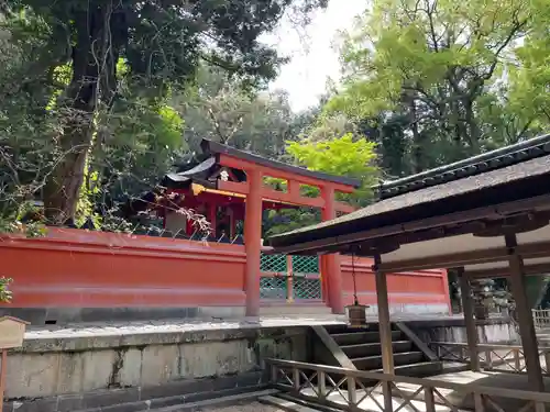 春日大社 若宮（春日若宮）(奈良県)