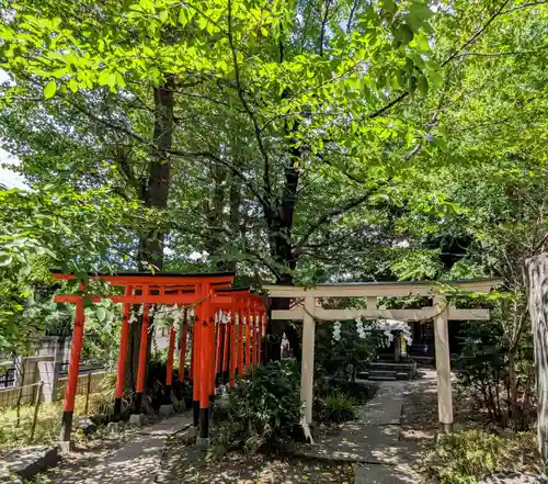 若宮八幡宮 の鳥居