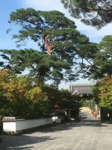 禅林寺（永観堂）のその他建物