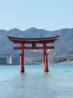 厳島神社(広島県)