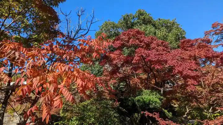 勧修寺(京都府)