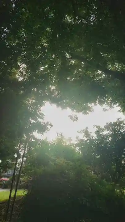 白髭社(愛知県)