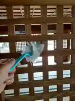 伏木香取神社の本殿・本堂