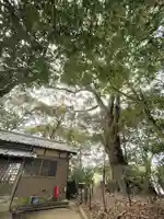 於々奈気神社(三重県)