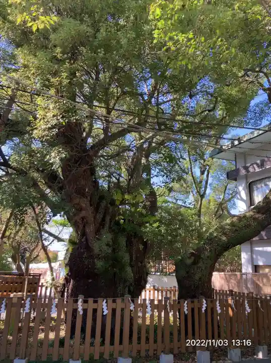 富知六所浅間神社(静岡県)
