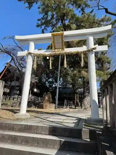 縣神社(京都府)