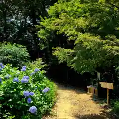 光明寺(静岡県)