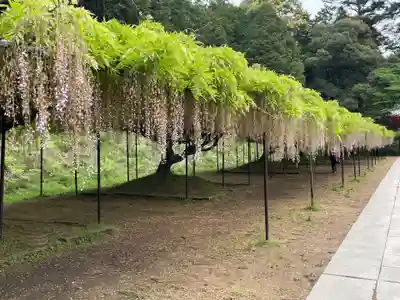 天台宗 五大山 白毫寺(兵庫県)