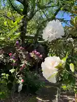 手力雄神社(岐阜県)