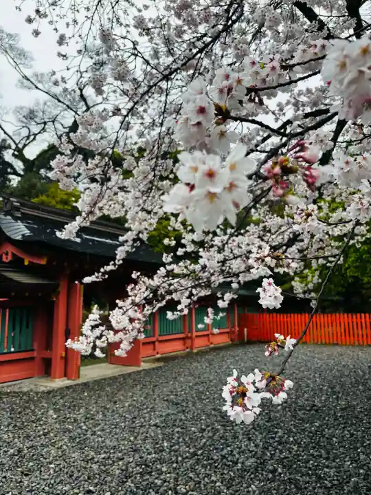 富士山本宮浅間大社の{uncategorized: "未分類", other: "その他", undefined: "問題あり", building: "その他建物", grave: "お墓", sacred_gate: "鳥居", guardian: "狛犬", statue: "像", buddha: "仏像", history: "歴史", nature: "自然", garden: "庭園", animal: "動物", pagoda: "塔", temizu: "手水舎", mountain_gate: "山門・神門", sanctuary: "本殿・本堂", subordinate: "末社・摂社", art: "芸術", scenery: "景色", jizo: "地蔵", ema: "絵馬", goshuin: "御朱印", omikuji: "おみくじ", items: "授与品その他", amulet: "お守り", goshuincho: "御朱印帳", eats: "食事", festival: "お祭り", votive_dance: "神楽", shichigosan: "七五三参", wedding: "結婚式", experience: "体験その他", initially: "初詣", around: "周辺", anti_infection: "感染症対策"}