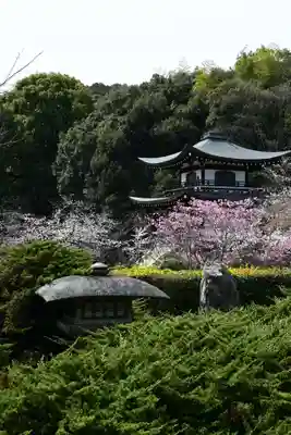 勧修寺(京都府)