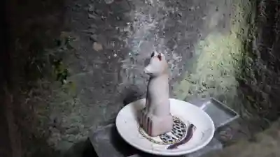 寶徳稲荷大社の狛犬