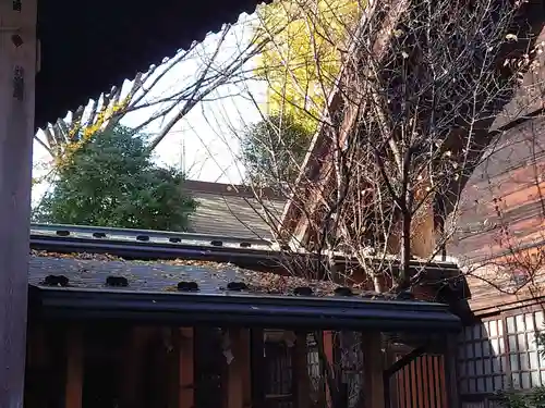 ときわ台天祖神社の本殿・本堂