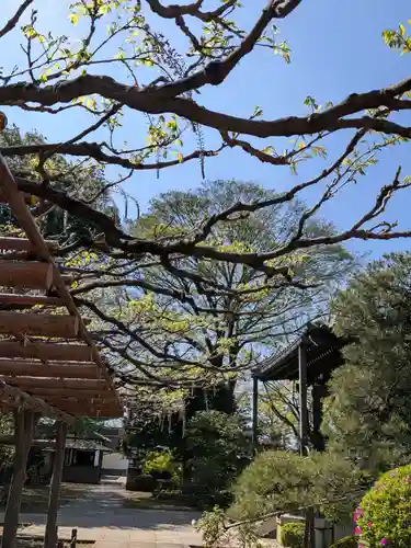 愛染院(東京都)