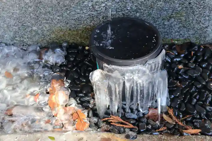 高司神社〜むすびの神の鎮まる社〜の自然