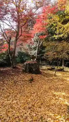 栖賢寺(京都府)