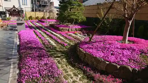 寿量山　速成寺の庭園