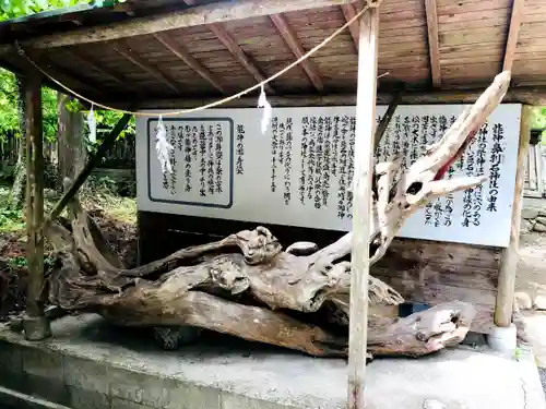 龍神ハナグリ石神社の建物その他